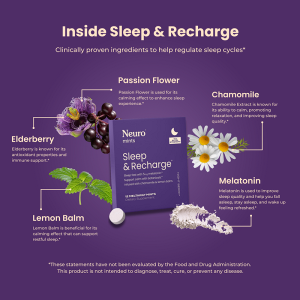 Sleep & Recharge Meltaway Mints - Image 40